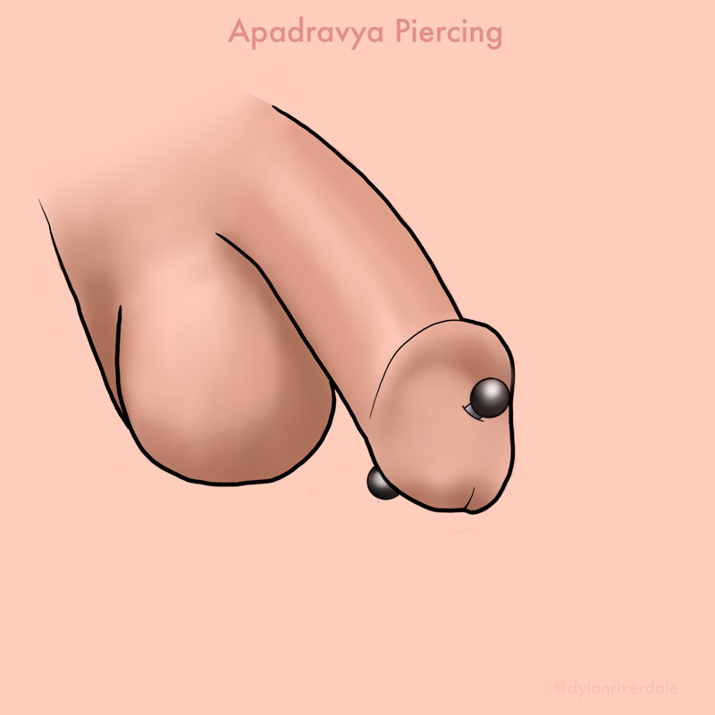 Genital Piercings Tumblr